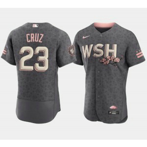 MLB Nationals 23 Nelson Cruz 2022 Gray City Connect Cherry Blossom Nike Flexbase Men Jersey