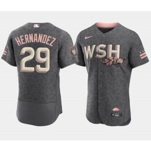 MLB Nationals 29 Yadiel Hernandez 2022 Gray City Connect Cherry Blossom Nike Flexbase Men Jersey