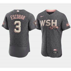 MLB Nationals 3 Alcides Escobar 2022 Gray City Connect Cherry Blossom Nike Flexbase Men Jersey