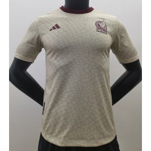 Mexico PV Away 2022 World Cup Soccer Men Jersey