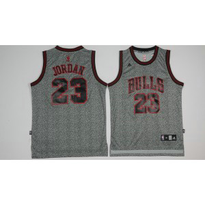 NBA Bulls 23 Michael Jordan Grey Snowflake Swingman Men Jersey