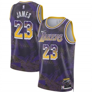 NBA Lakers 23 LeBron James Purple 2025 Select Series Men Jersey NBA Lakers 23 LeBron James Purple 2025 Select Series Men Jersey