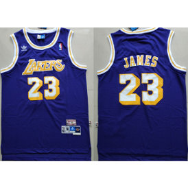 NBA Lakers 23 Lebron James Purple Hardwood Classics Men Jersey 1 NBA Lakers 23 Lebron James Purple Hardwood Classics Men Jersey 1
