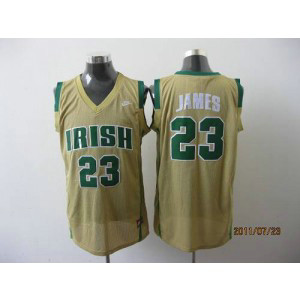 NCAA Notre Dame Fighting Irish 23 LeBron James Earth Yellow High School Men Jersey NCAA Notre Dame Fighting Irish 23 LeBron James Earth Yellow High School Men Jersey