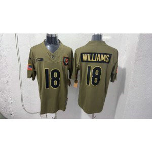 Nike Bears 18 Williams Olive 2025 Salute to Service F.U.S.E. Vapor Limited Men Jersey Nike Bears 18 Williams Olive 2025 Salute to Service F.U.S.E. Vapor Limited Men Jersey